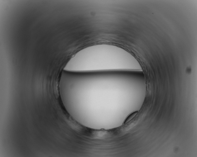 X0000103440575200809121104