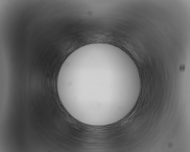 X0000103440576200809121104