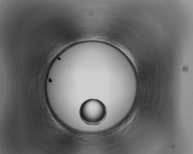 X0000103440577200809121104
