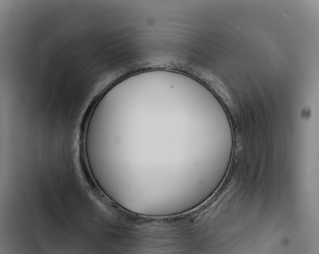X0000103440578200809121104