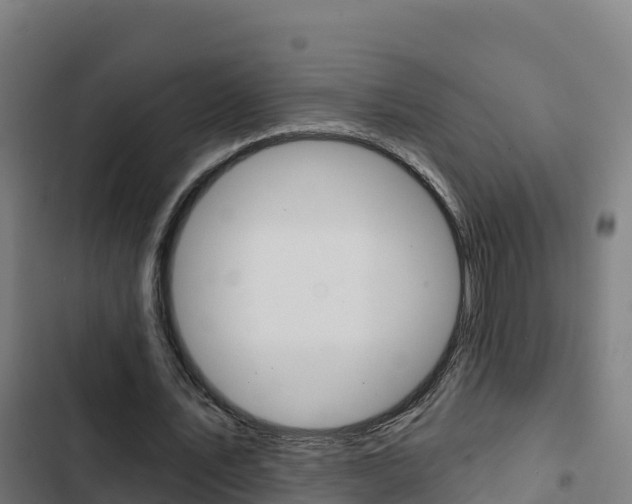 X0000103440579200809121103