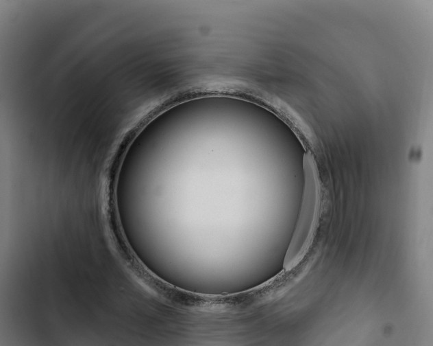 X0000103440581200809121103