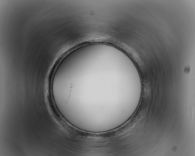 X0000103440582200809121103