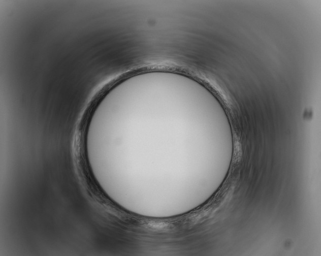X0000103440583200809121103