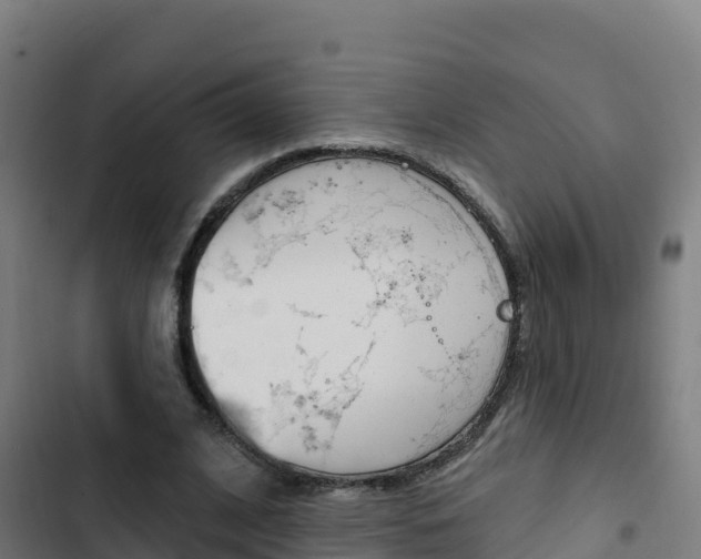 X0000103440584200809121103