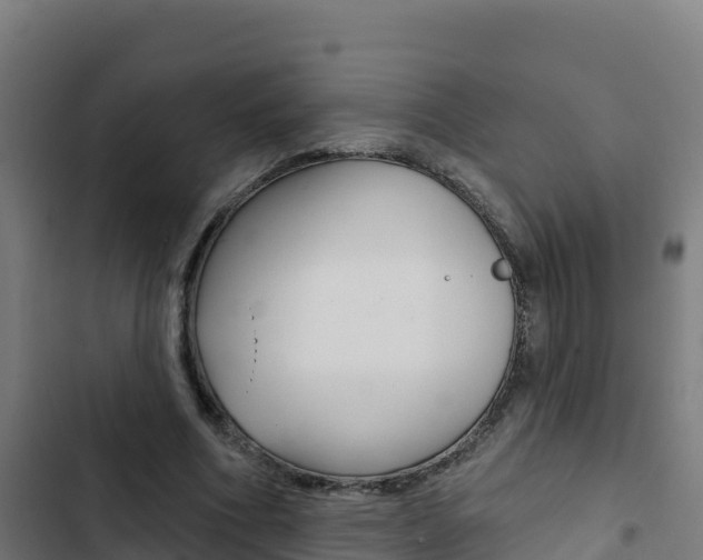 X0000103440586200809121103
