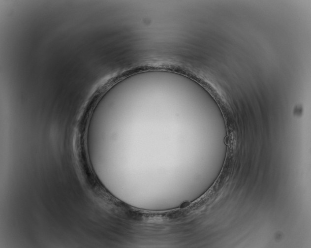 X0000103440587200809121103