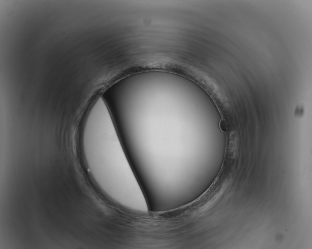 X0000103440589200809121103