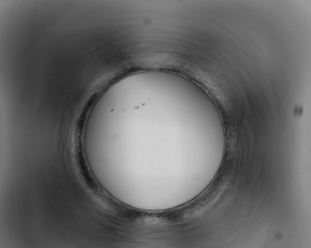 X0000103440590200809121103