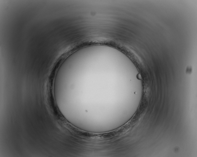 X0000103440591200809121103