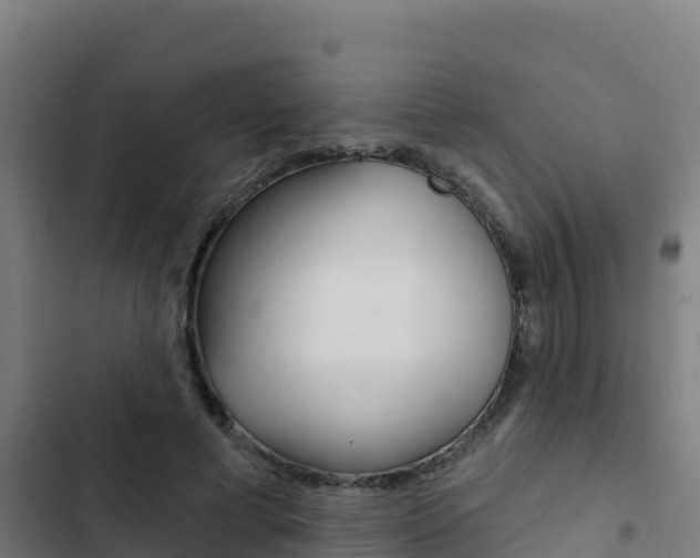 X0000103440593200809121103