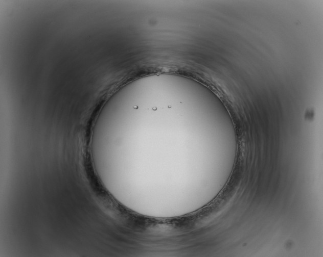X0000103440594200809121103