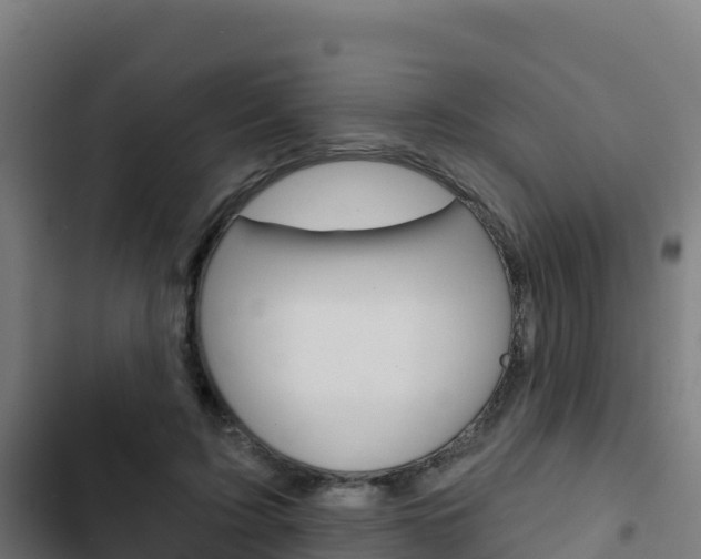 X0000103440595200809121103