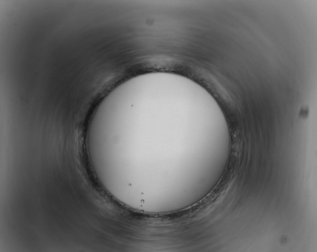 X0000103440597200809121103