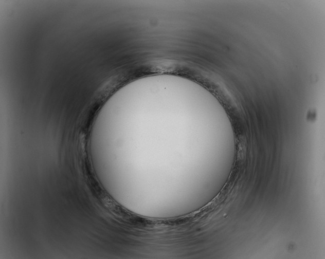 X0000103440598200809121103