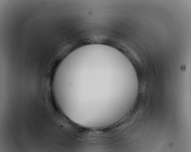 X0000103440599200809121103