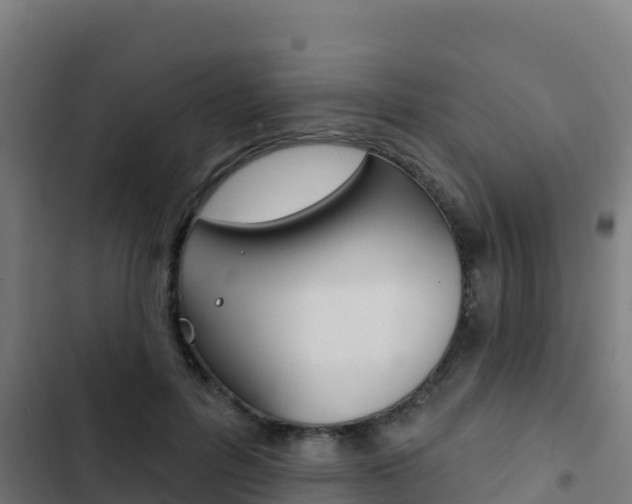 X0000103440600200809121103