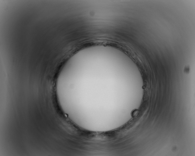 X0000103440601200809121103