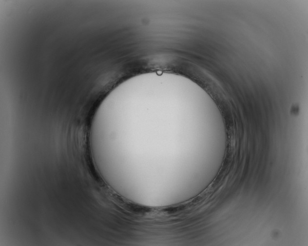 X0000103440603200809121103