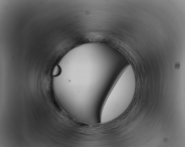 X0000103440604200809121103