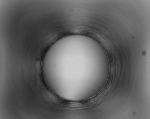 X0000103440605200809121103
