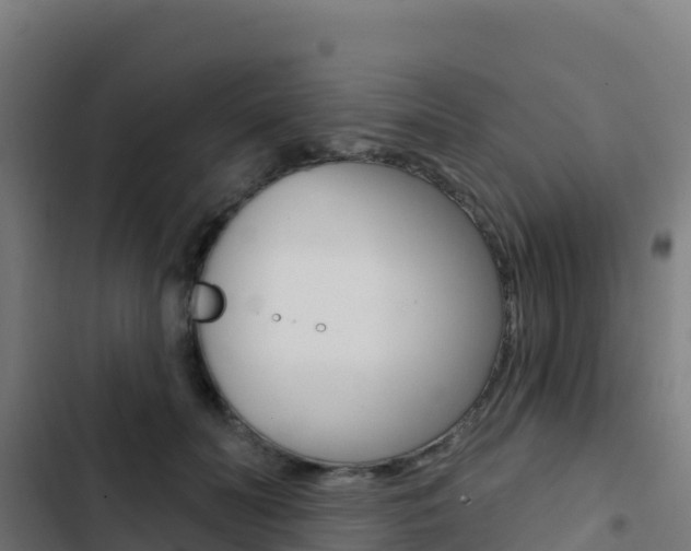 X0000103440606200809121103