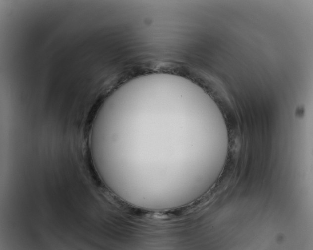 X0000103440607200809121103