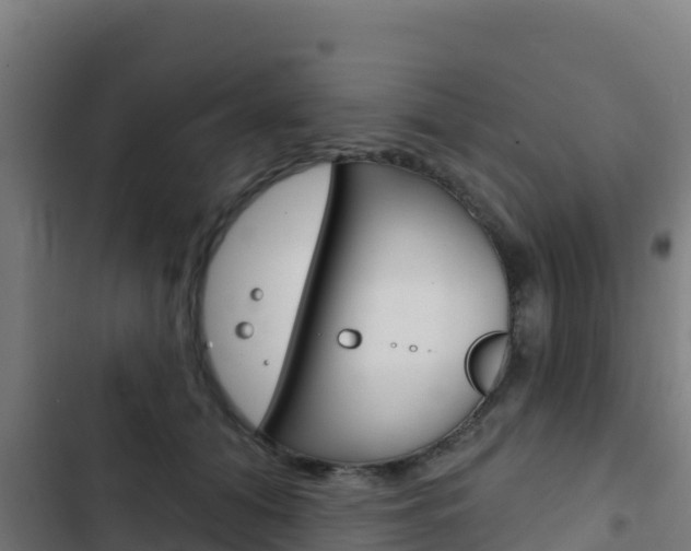 X0000103440608200809121103