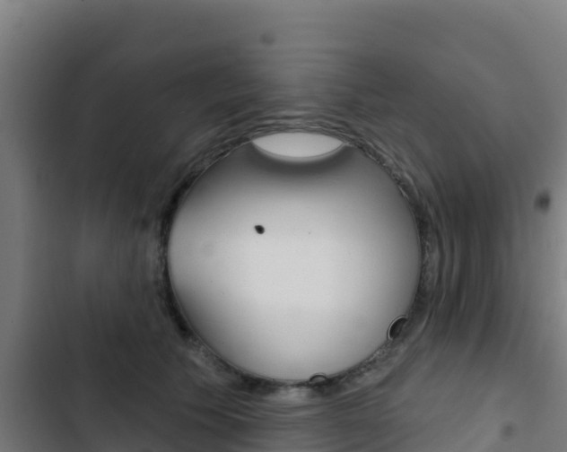 X0000103440609200809121103