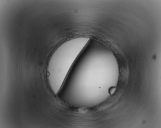 X0000103440612200809121103