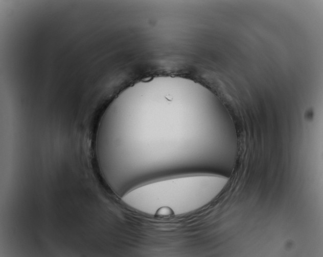 X0000103440615200809121103