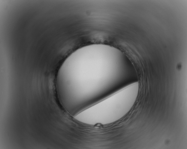 X0000103440616200809121103