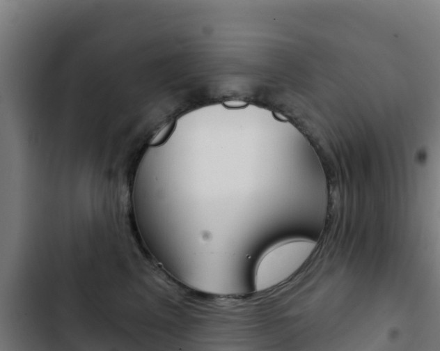 X0000103440617200809121103