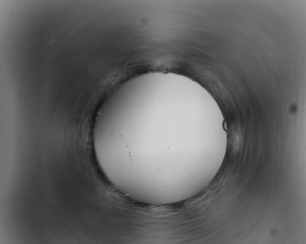 X0000103440619200809121103