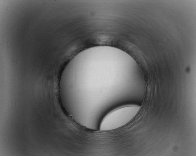 X0000103440620200809121103