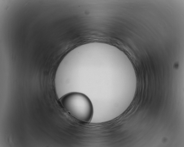 X0000103440621200809121103