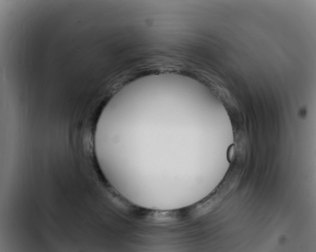 X0000103440622200809121103