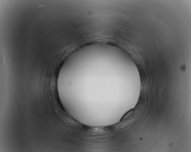 X0000103440623200809121103