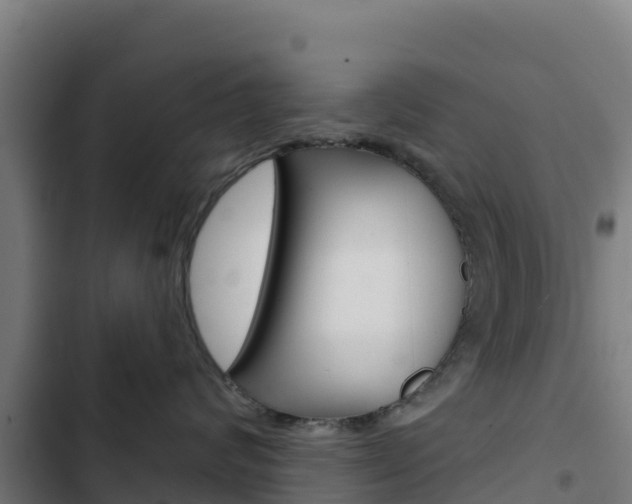 X0000103440624200809121103