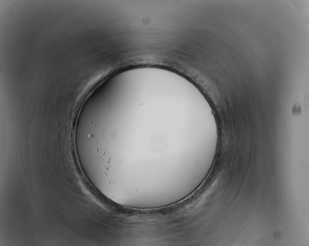X0000103440625200809121102