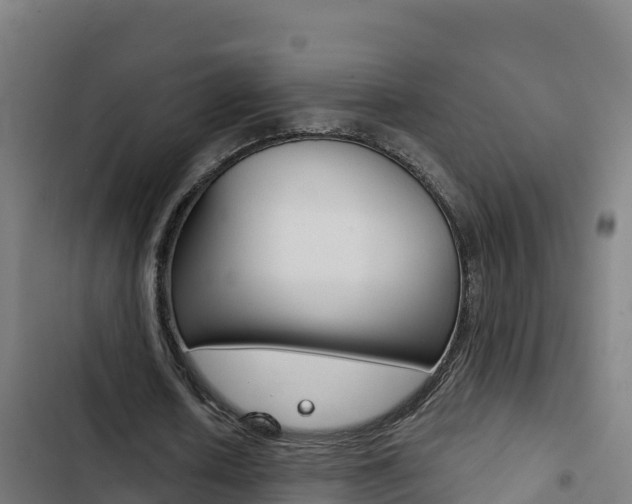 X0000103440626200809121102