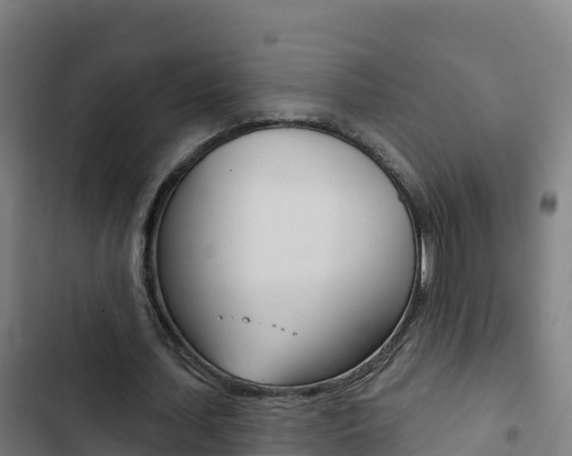 X0000103440627200809121102