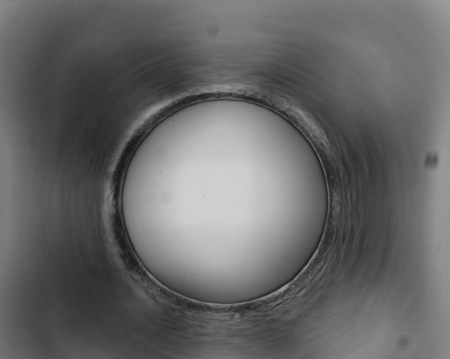 X0000103440628200809121102