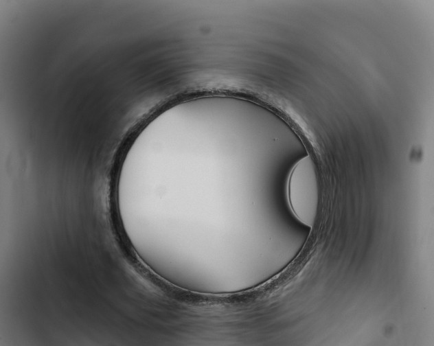 X0000103440629200809121102