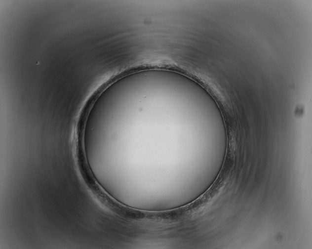 X0000103440630200809121102