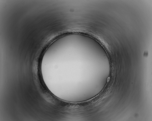 X0000103440631200809121102