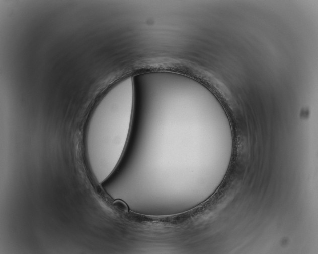 X0000103440633200809121102