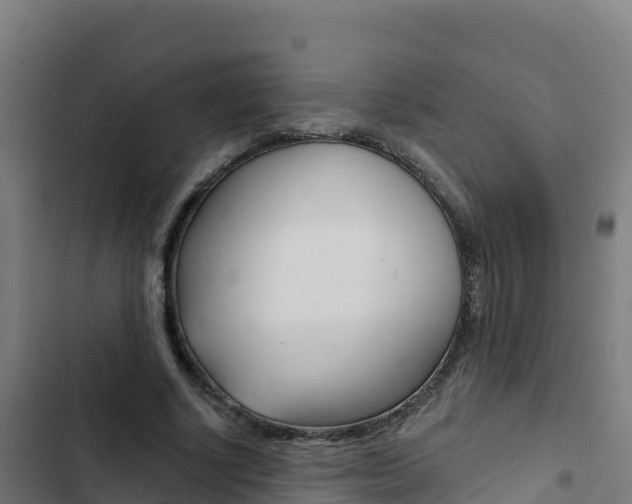 X0000103440634200809121102