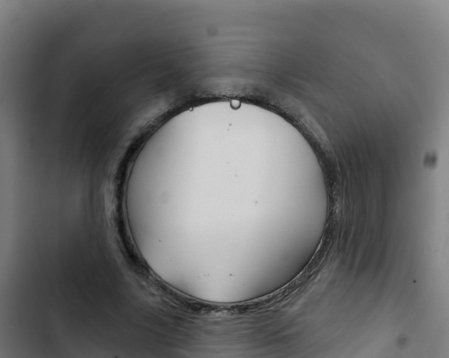 X0000103440635200809121102