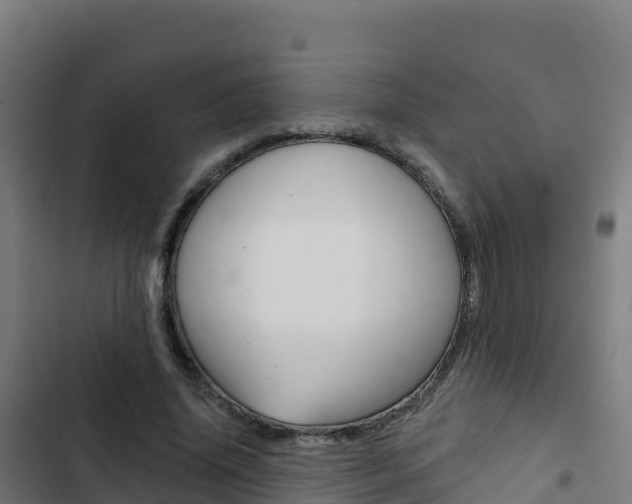 X0000103440636200809121102